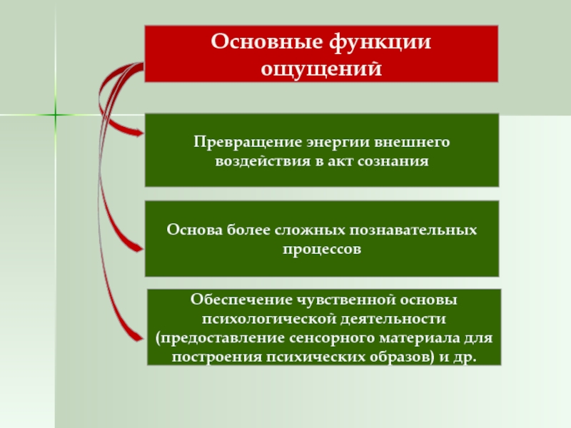 Ощущение и восприятие — ept
