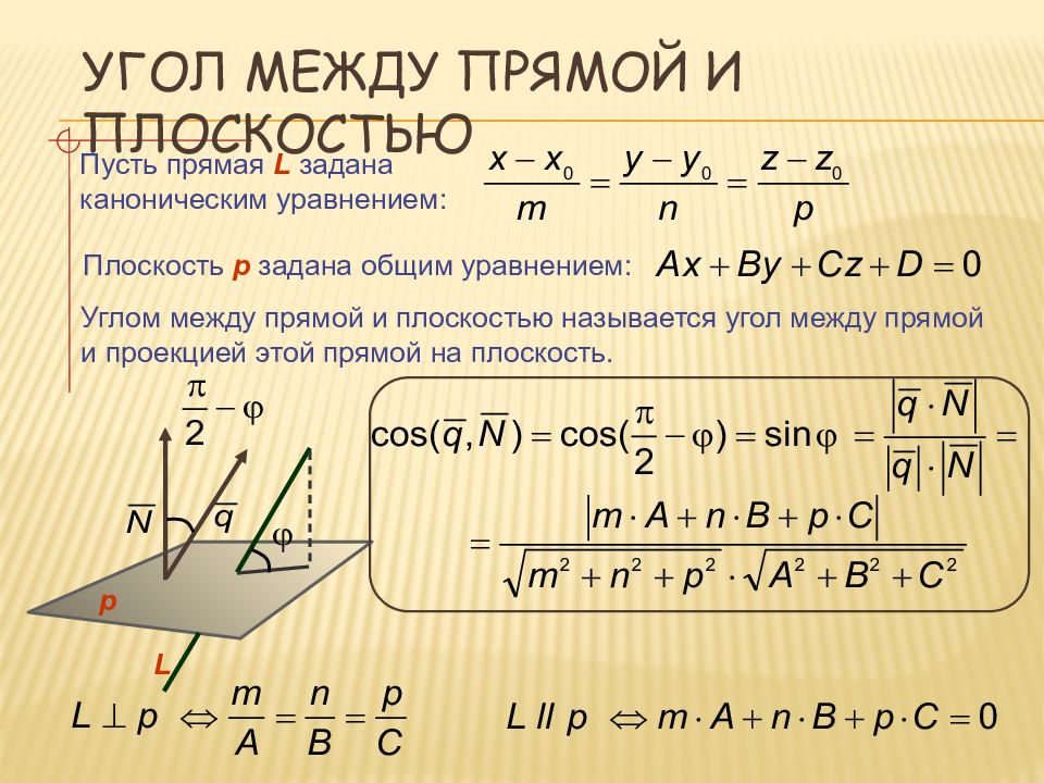 Сечения - умскул учебник