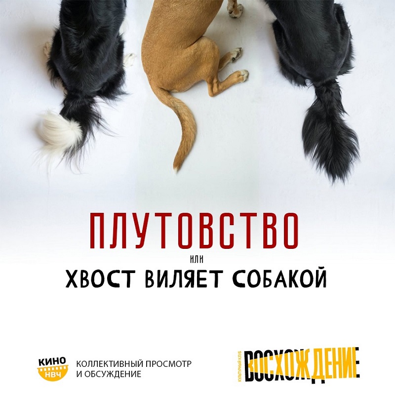 Вилять хвостом – это выражение, которое широко используется в нашей речи и имеет фразеологическое значение Оно встречается как в повседневной разговорной
