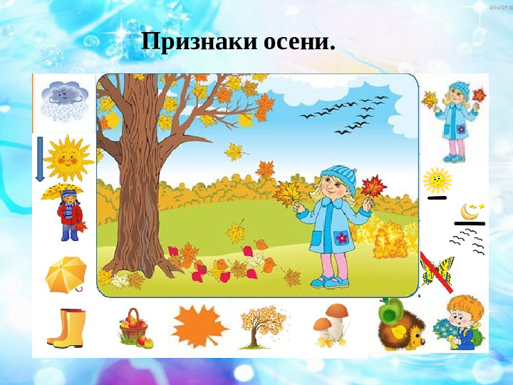 Ранняя осень и поздняя осень - почему они разные и как это влияет на нашу жизнь - voprostop.ru