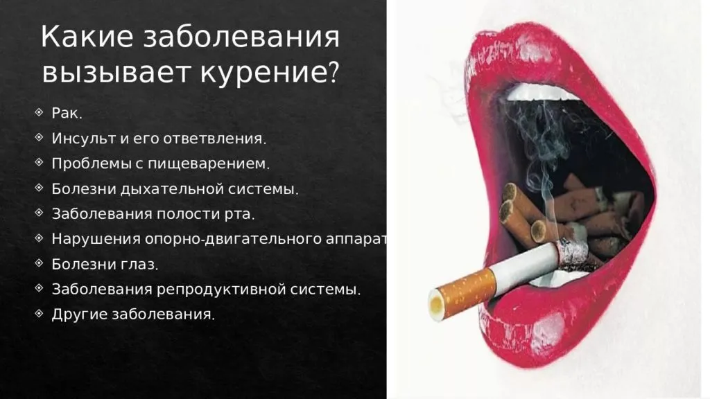 Традиции курения кальяна, культурное значение кальяна