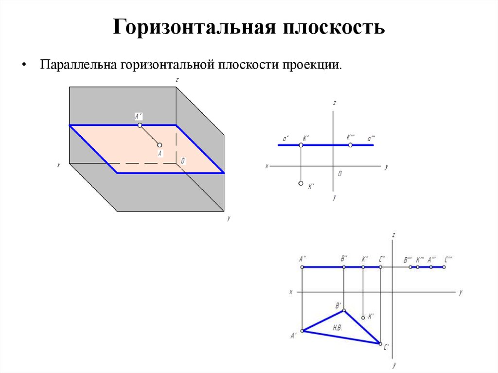 Основы анатомии человеческого лица: особенности