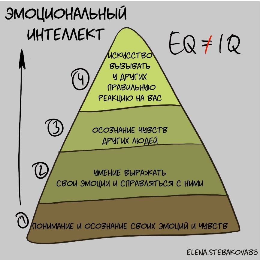 Интересные факты об iq, о которых вы не знали
