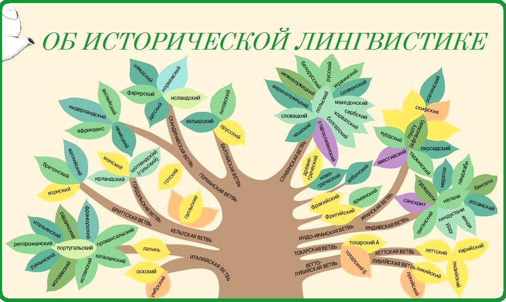 История дифференциации и преемственность лезгинских языков, группы и диалекты - алам
