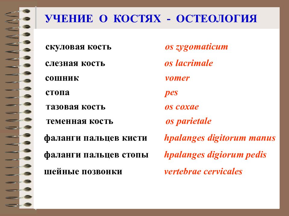 Правила для раба
