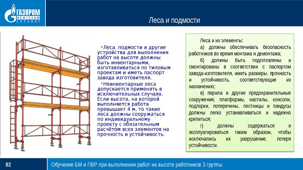 Что такое лесной комплекс: определение, значение и функции