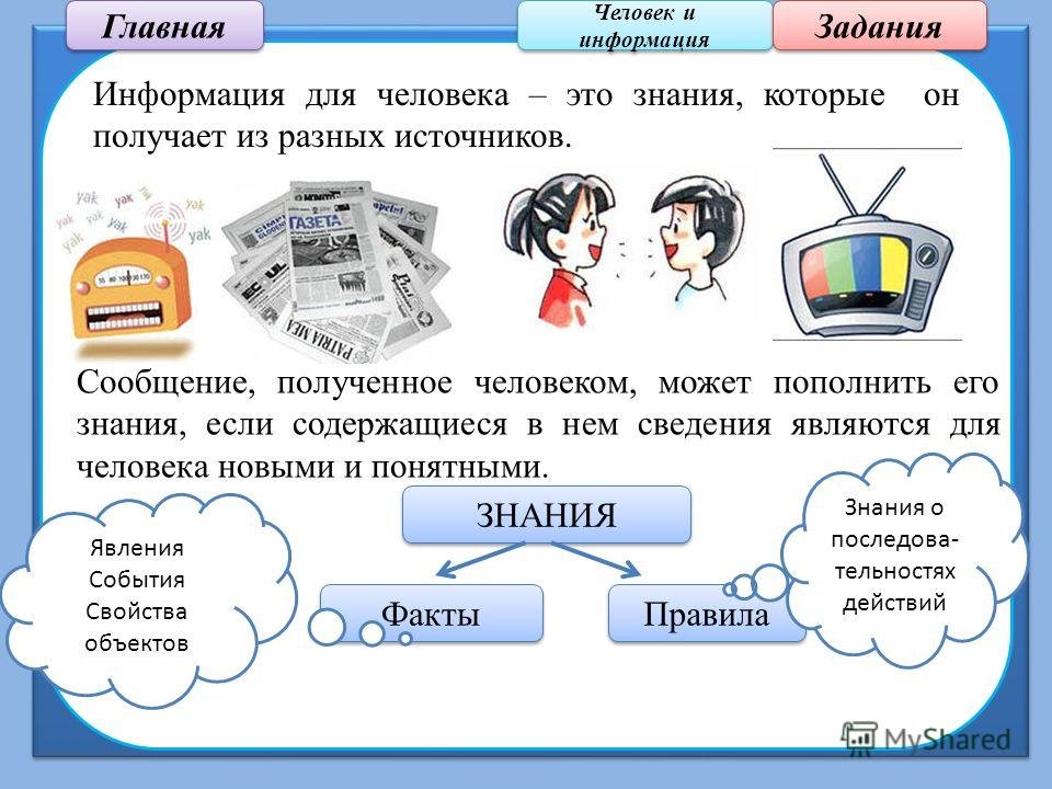 Как написать эссе по биологии + пример