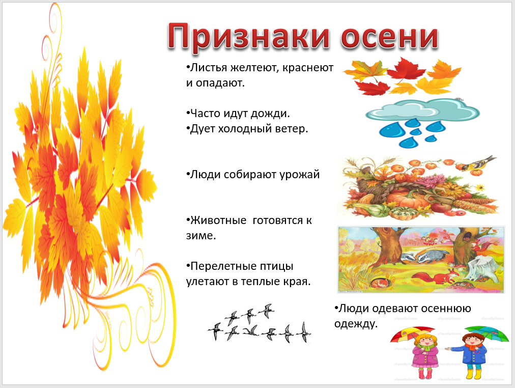 Признаки  осени для дошкольников.