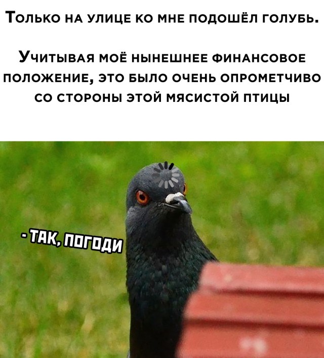 Опрометчивость в русском языке: понятие и примеры