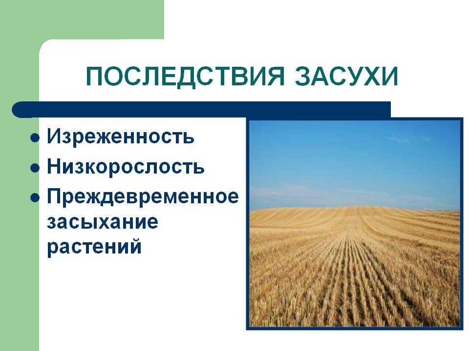 Что такое засушливый климат?