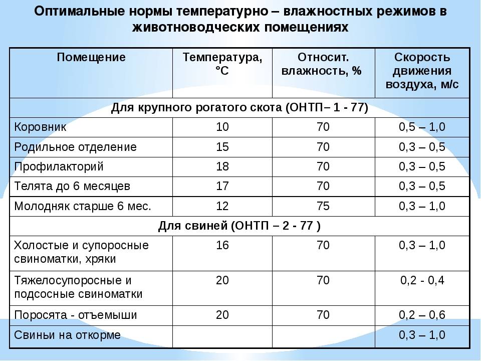 Температура тела в зависимости от окружающей среды: факты и причины
