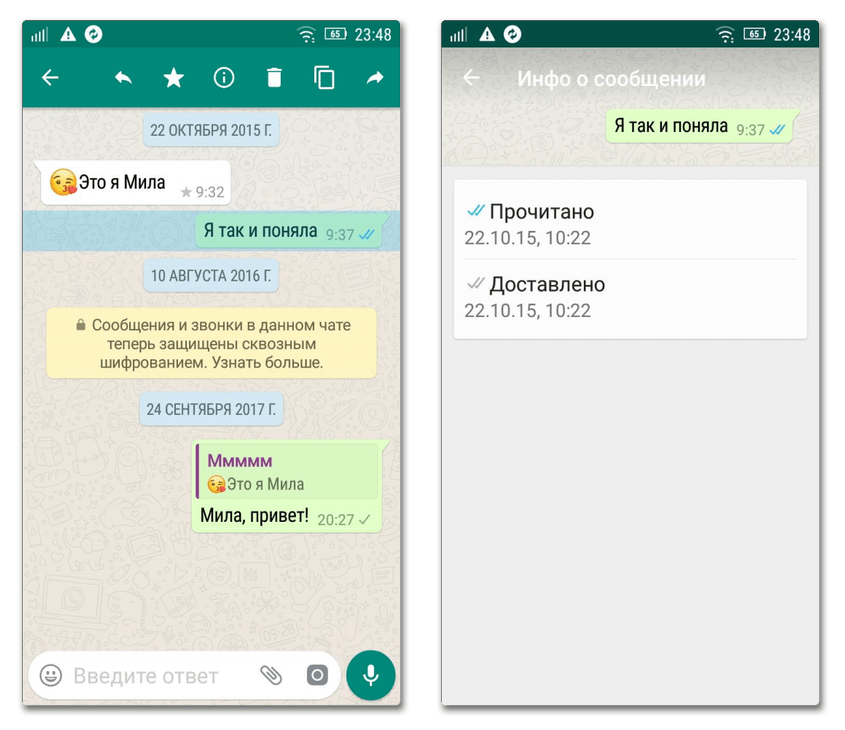 Мессенджер whatsapp: перевод названия, как пишется ватсап