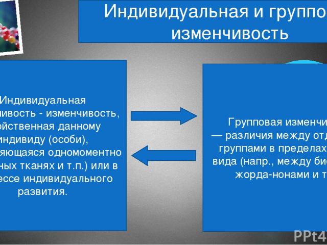 Что такое корреляция и как она влияет на данные