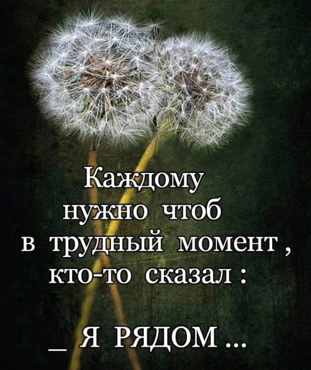 Концепция смысла и значения с. крипке. тождество и необходимость