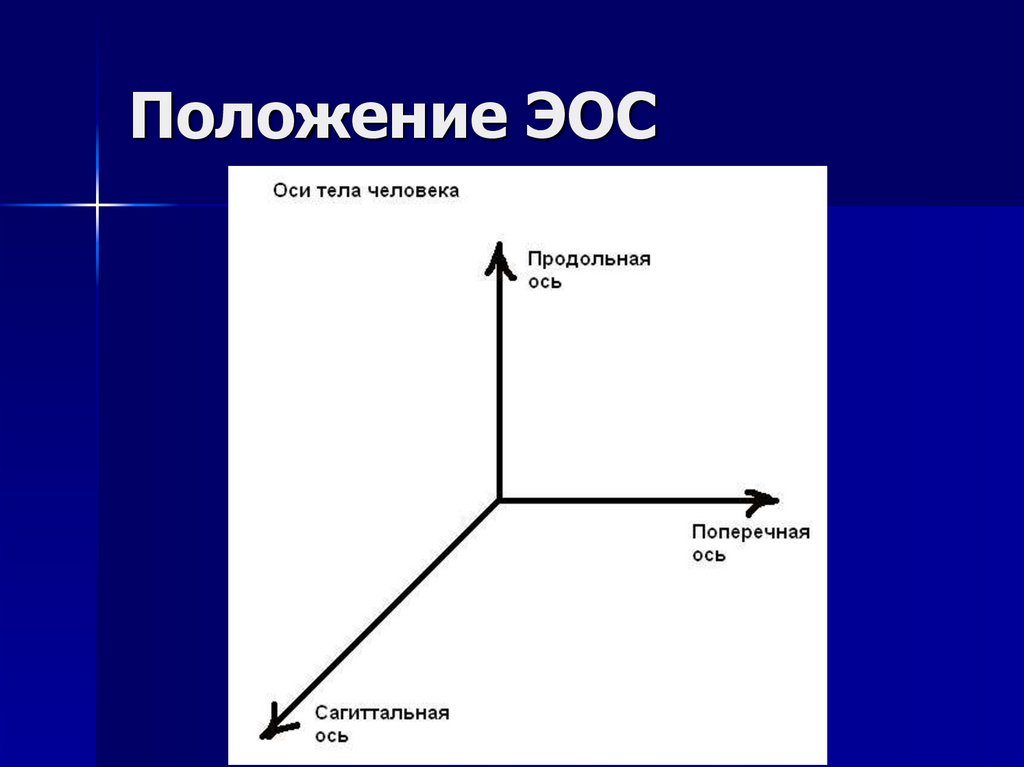 Построение эпюр продольных сил - определение, условия и методы