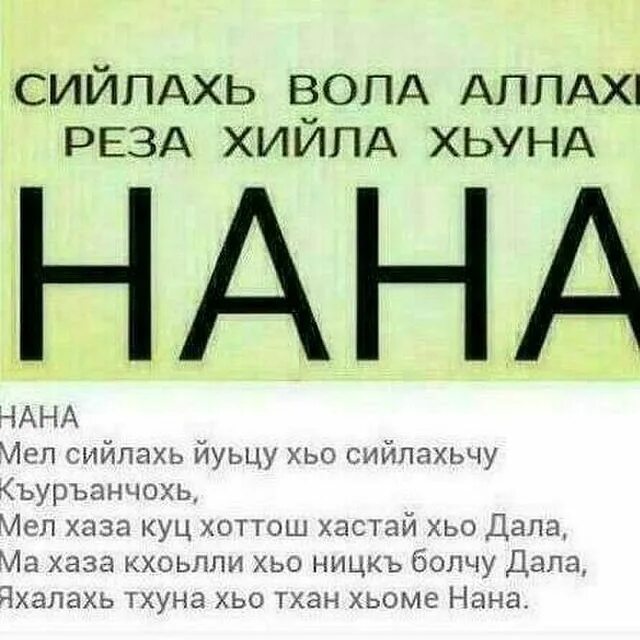 Чеченский народ: культура, традиции и обычаи