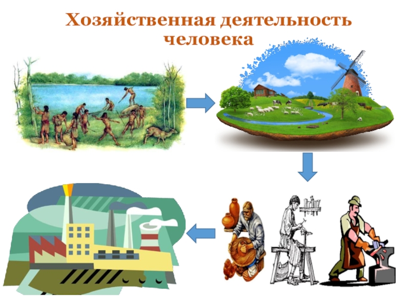 Основные виды хозяйственной деятельности