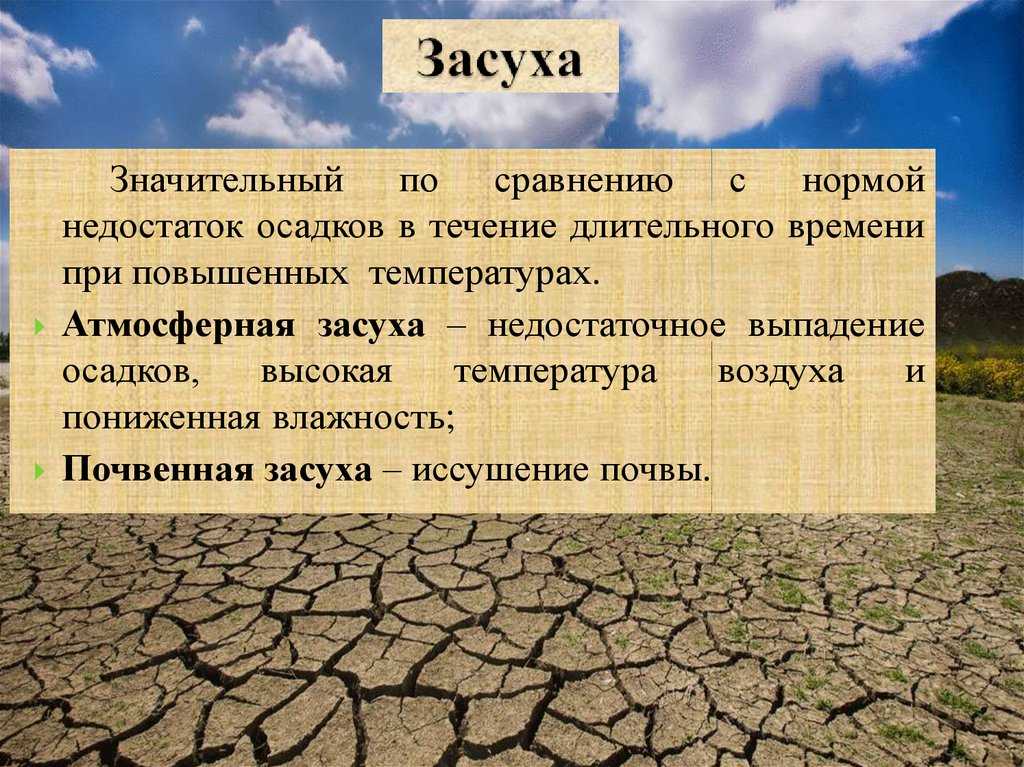 Сухие и влажные тропики
