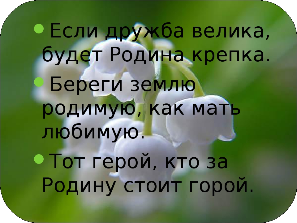 Почему пословицы, созданные разными народами, часто имеют один и тот же смысл