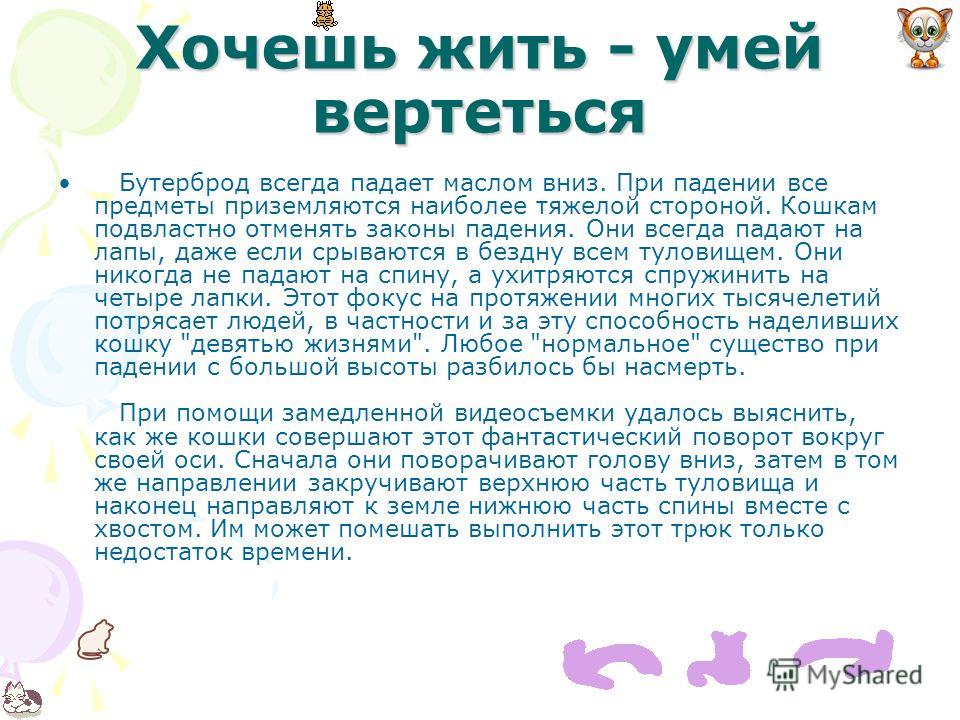 Как правильно поворачиваться в жизни — секреты успеха и значение фразы «хочешь жить — умей вертеться»