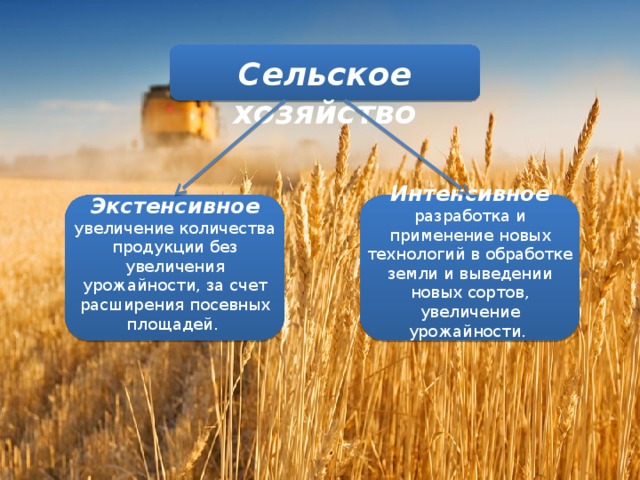 Экстенсивная экономика это в истории ссср определение