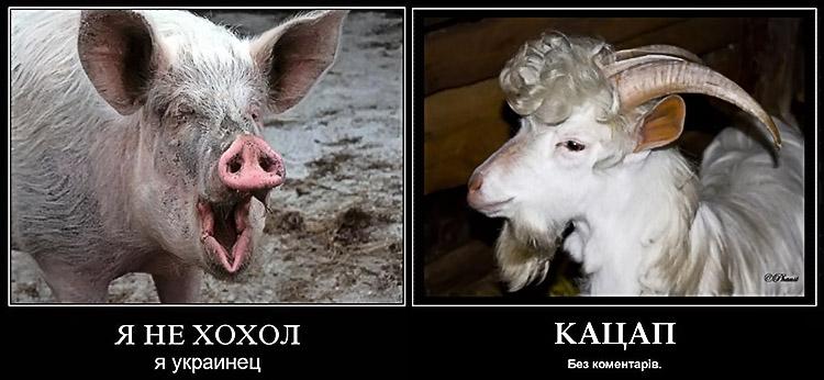 Что может означать это и какие возможных значения существуют