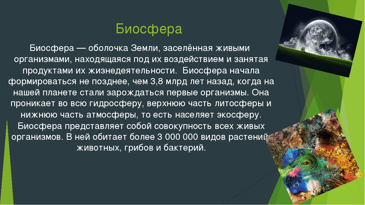 Термин государство относится к предмету изучения географии. объект изучения географии