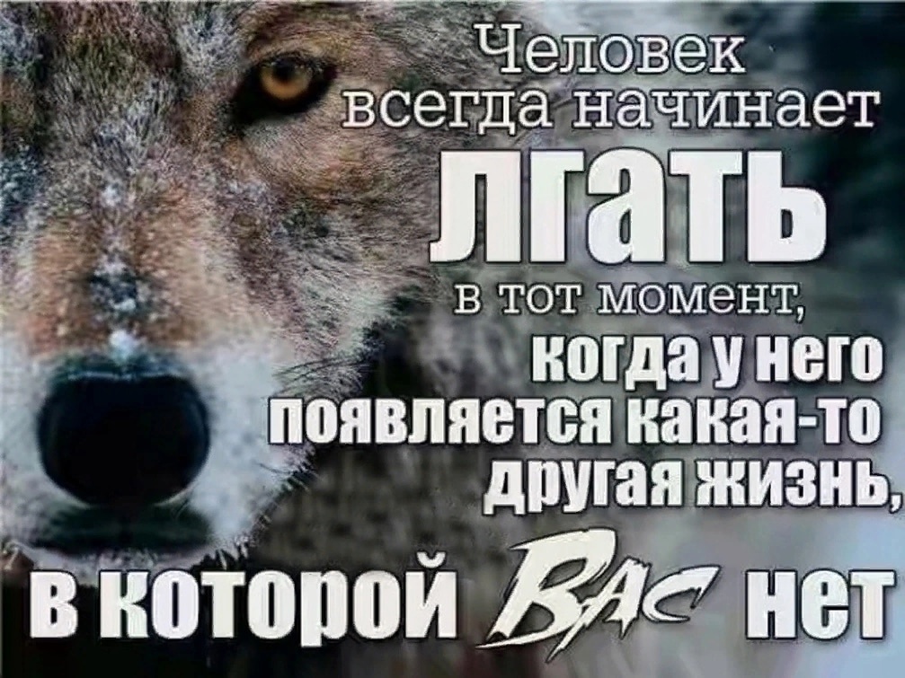 Чем неправду говорить лучше молчать — почему пословица оправдана и как она может помочь в жизни