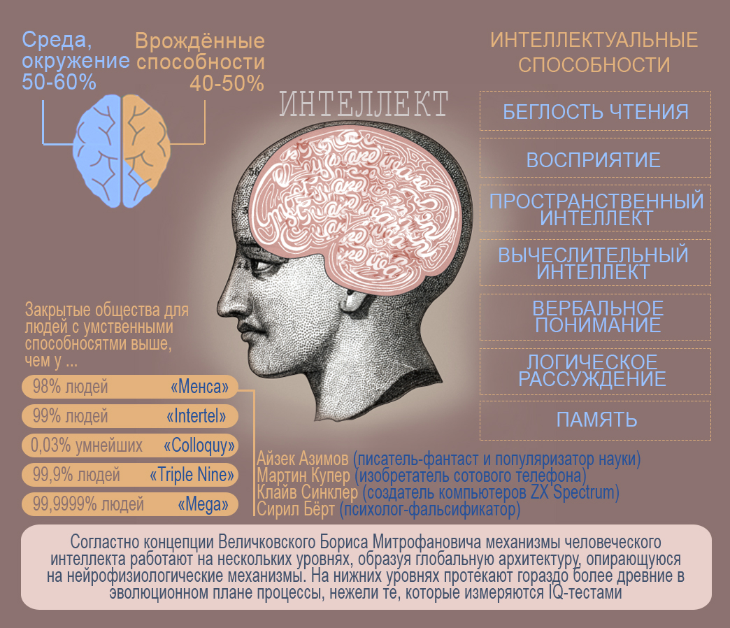 Как подсчитать интеллект
