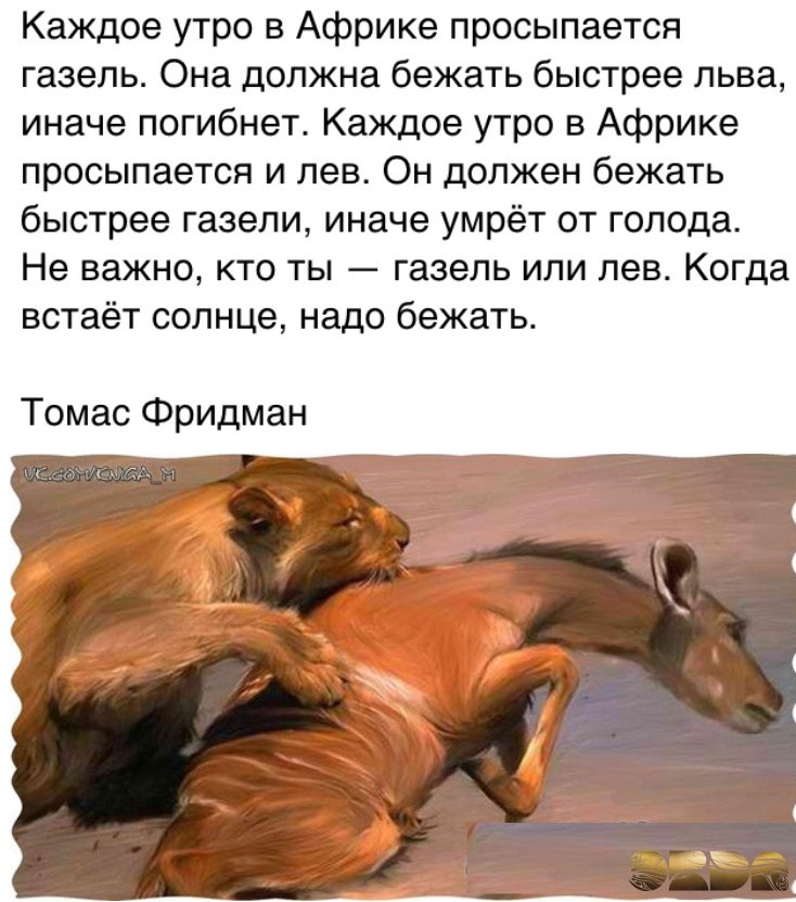 Любопытно знать происхождение фразы «хочешь жить умей вертеться» — история, значения и толкования