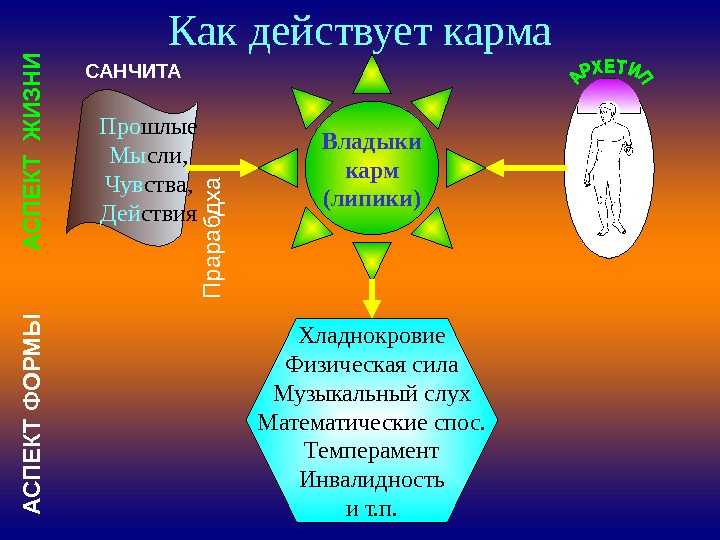 Карма  в  свете  учения  живой  этики