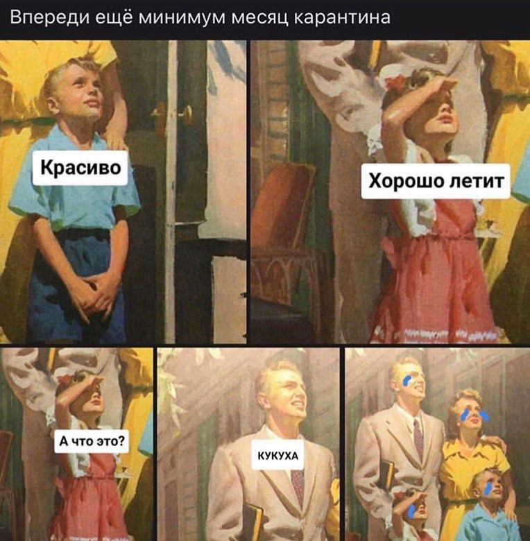 Что означает выражение "поехать кукухой": значение и происхождение