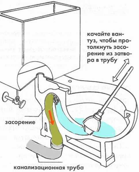 Потребности человека