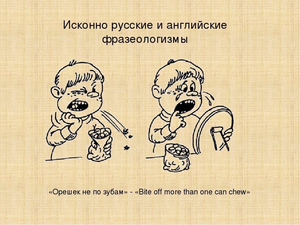 Понятие об устойчивых словосочетаниях