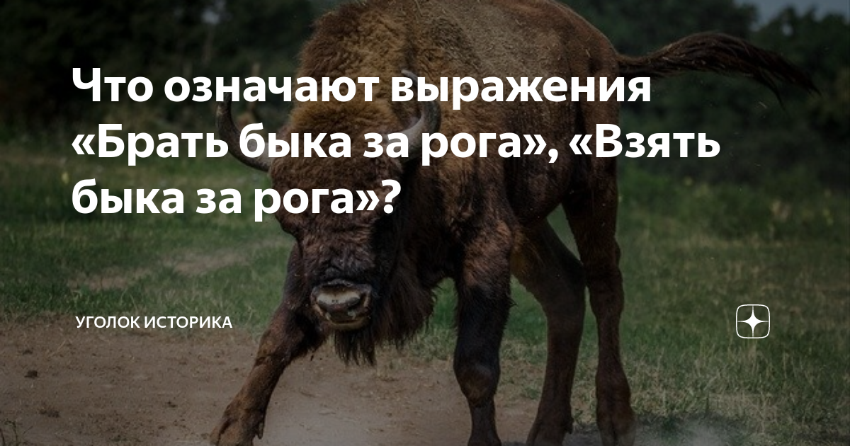 Словарь: что значит бранный жар
