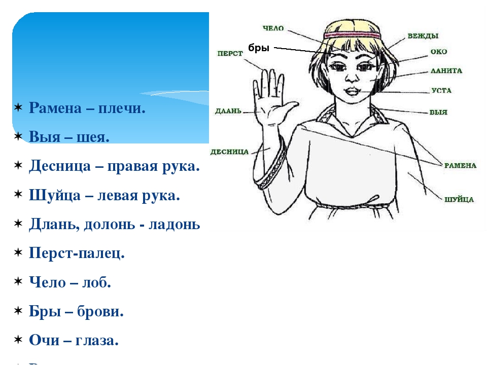 Как объяснить смысл "восседания бога сына одесную бога отца"? - ответ отца олега моленко на вопрос №546