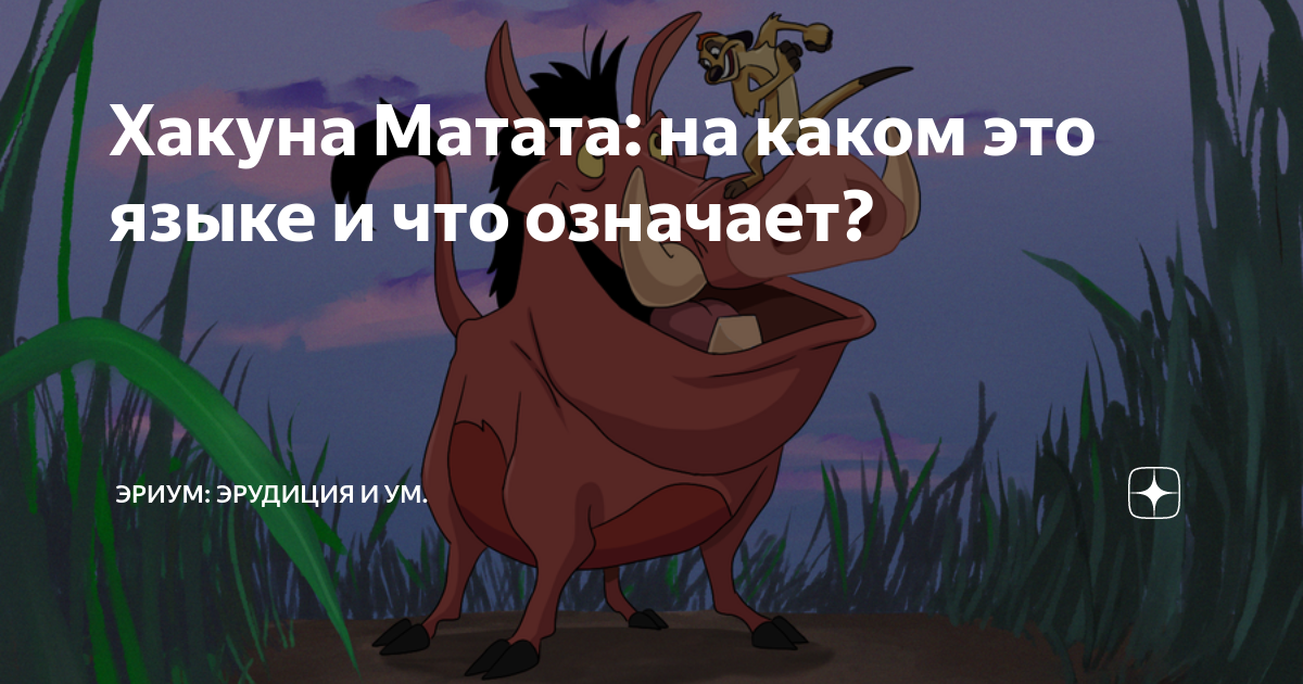 Что значит акуна матата по русски