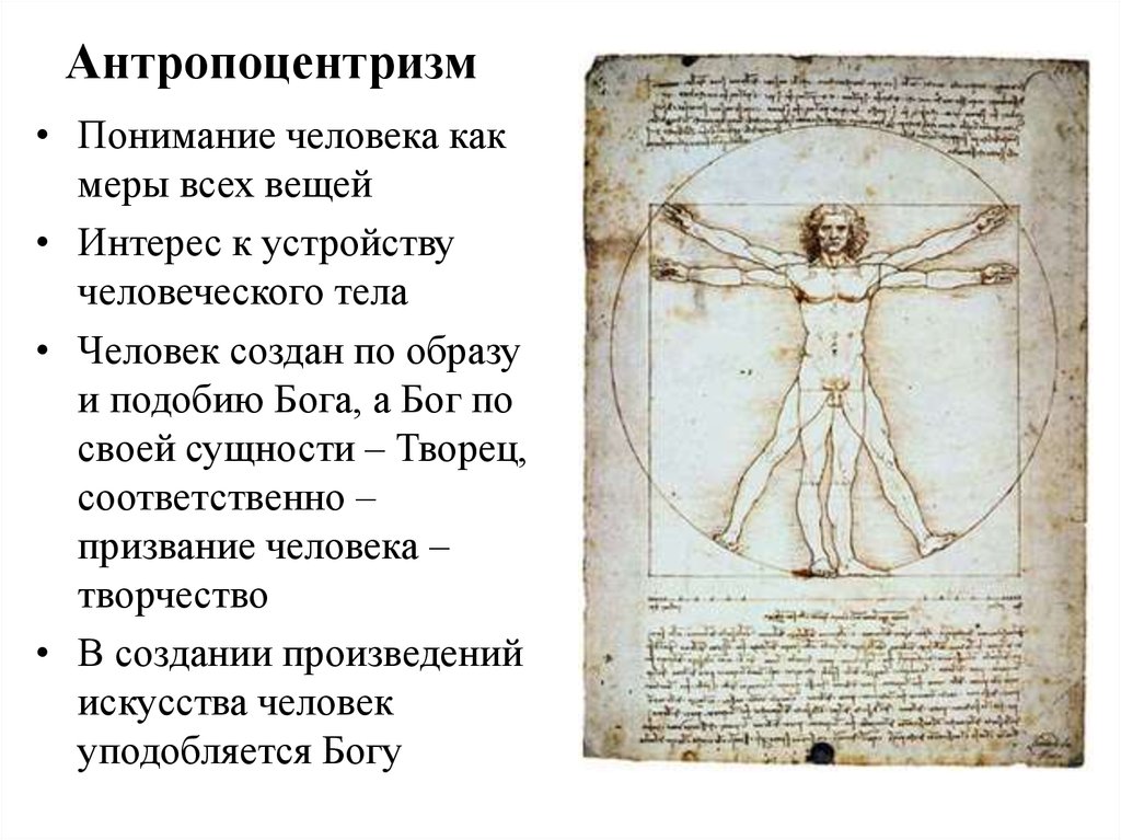 Кто такой человек мира? как стать человеком мира? - вопросник.про