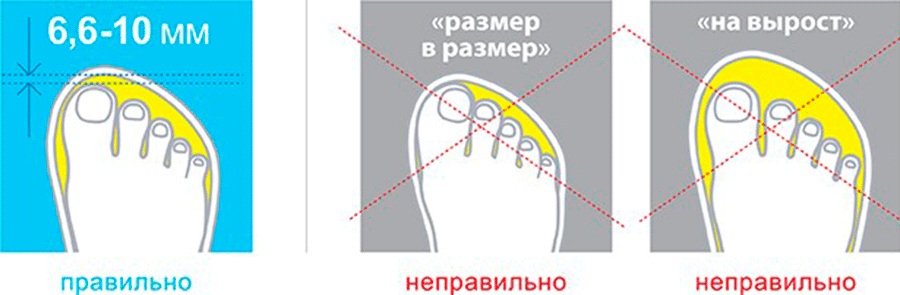 Как измеряется полнота обуви, таблицы женских и мужских параметров