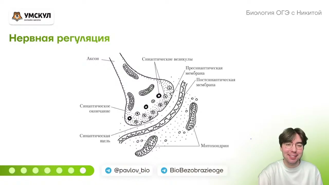 Кто и когда придумал первую ложку – история создания