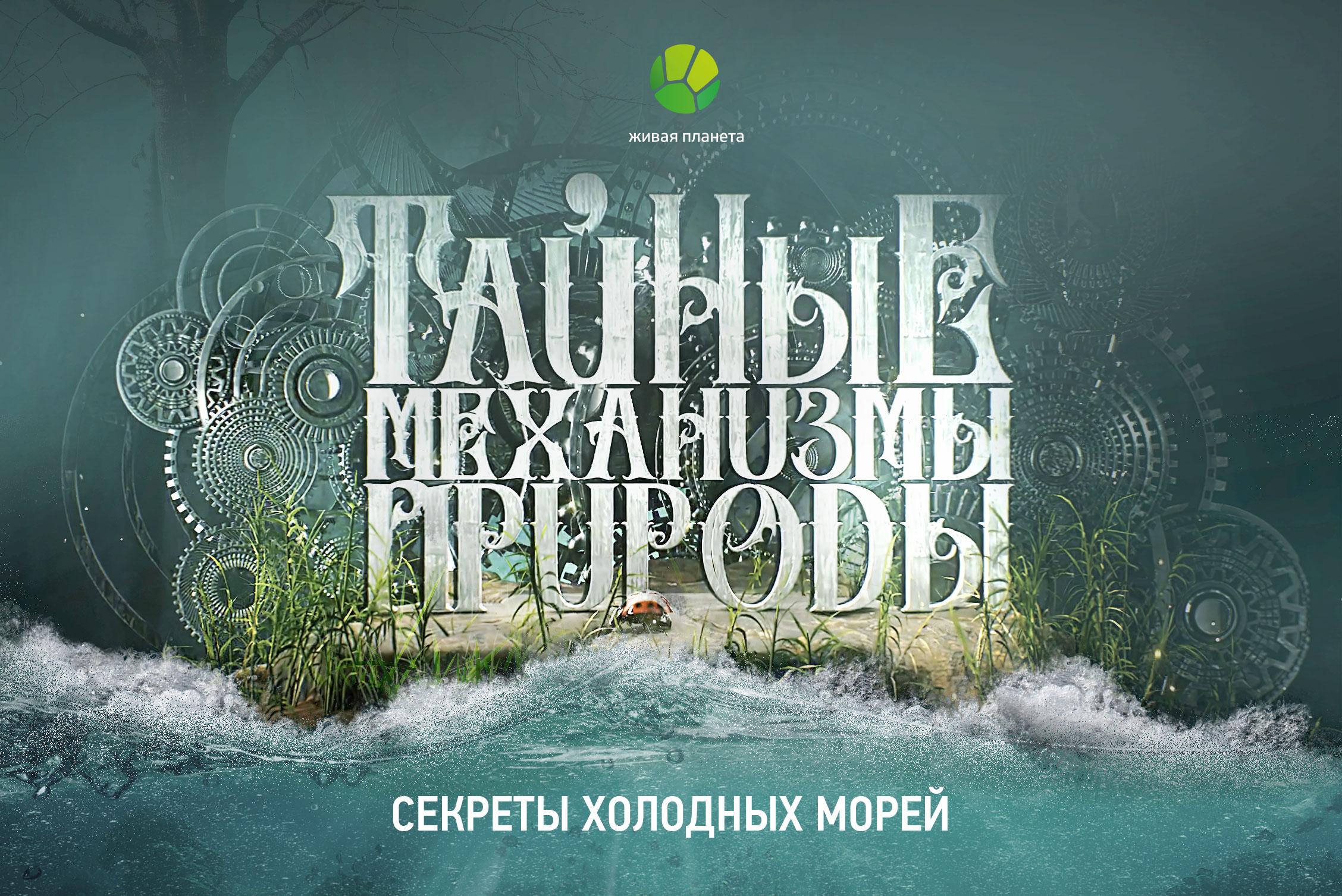 Физические свойства льда и его использование