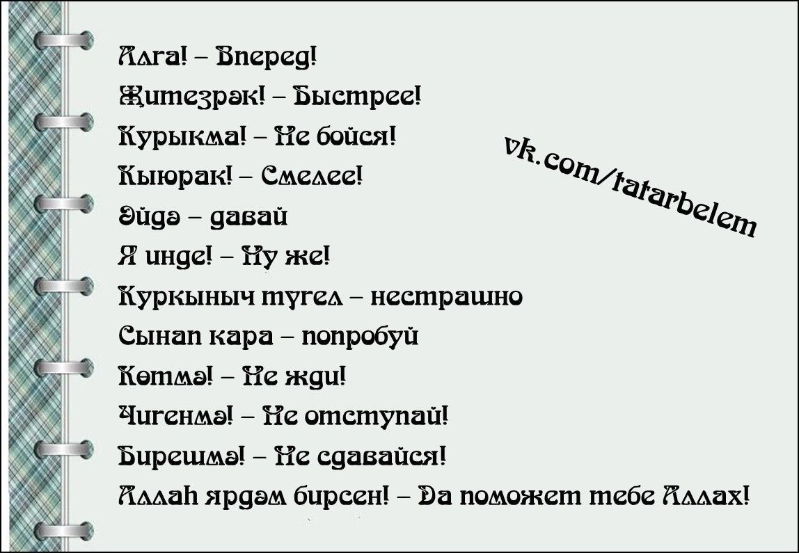 Казахская нецензурная лексика — рувики