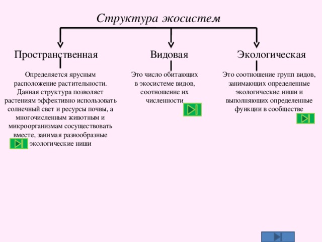 Природные системы – это сложные и взаимосвязанные сети элементов, включающих живые организмы и их окружение Они являются основными строительными блоками