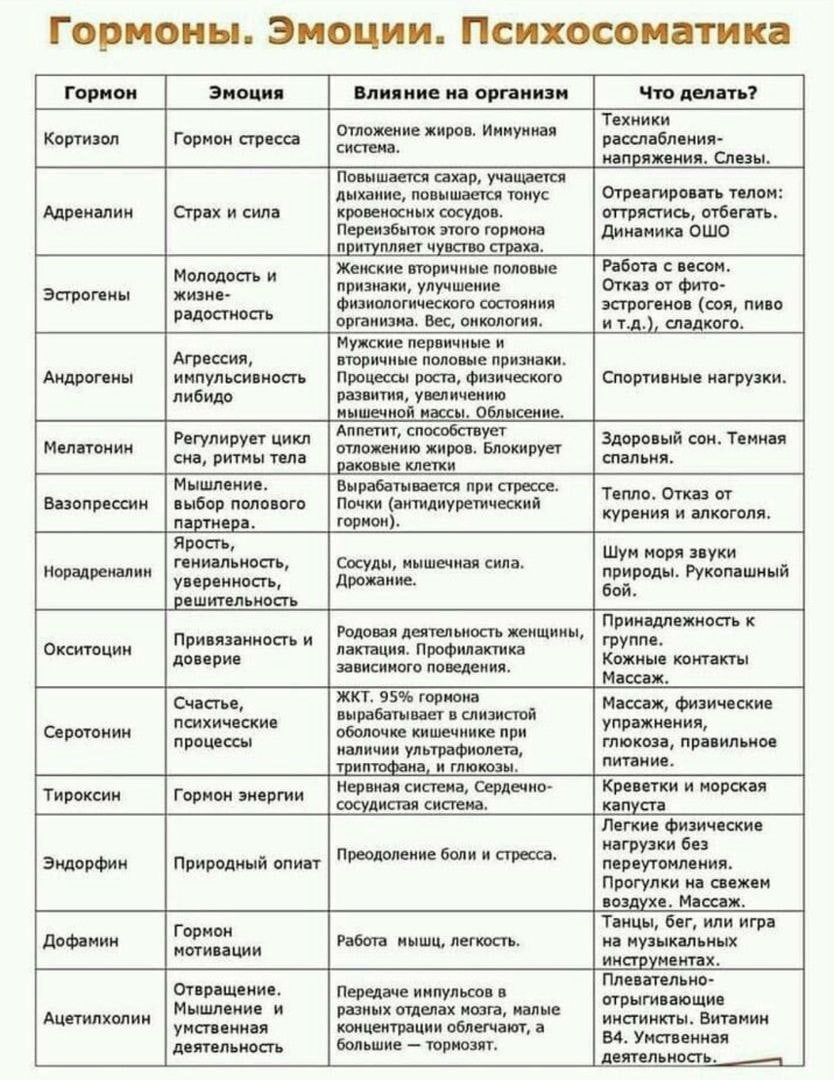 Эмоциональность, отношение к любви
