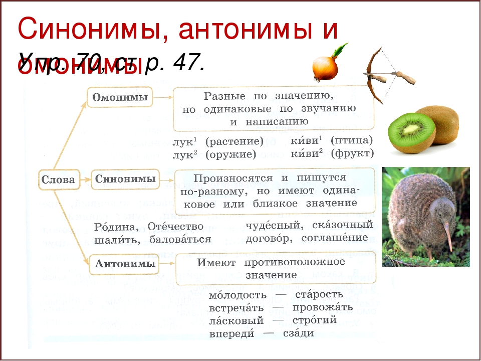 Многозначные слова. примеры
