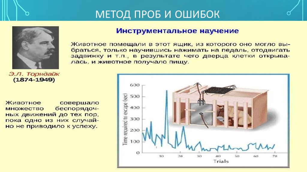 Польза перенимания опыта: как это помогает росту и развитию