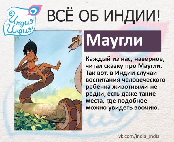 20 удивительных фактов об индии, которые заставят вас восхититься этой страной