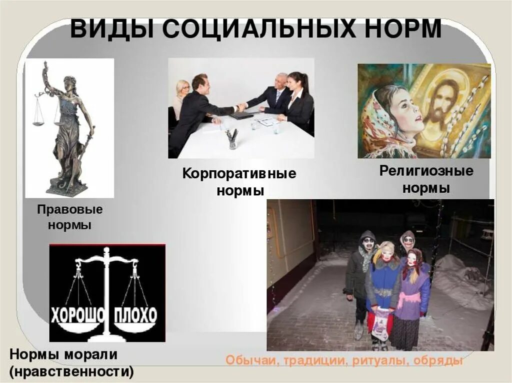 Что такое социальное поведение: определение, примеры, особенности