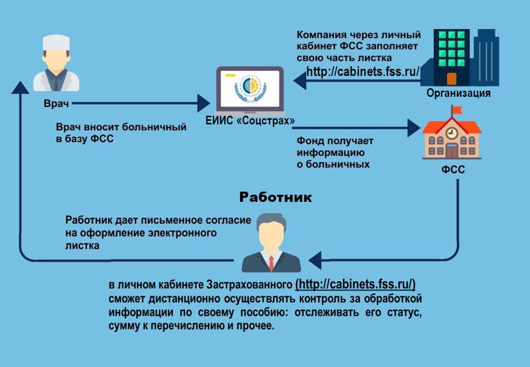 Тип элн продолжение: что это значит