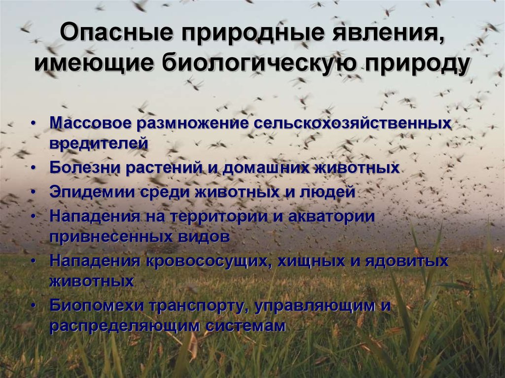 Явления живой и неживой природы. 2 класс. примеры